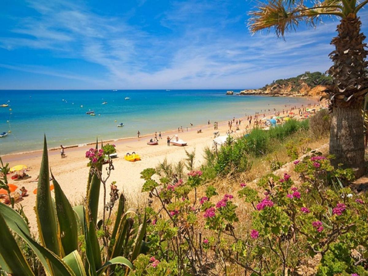 V4, Villa Jardins Branqueira Near Beach, Albufeira Bagian luar foto